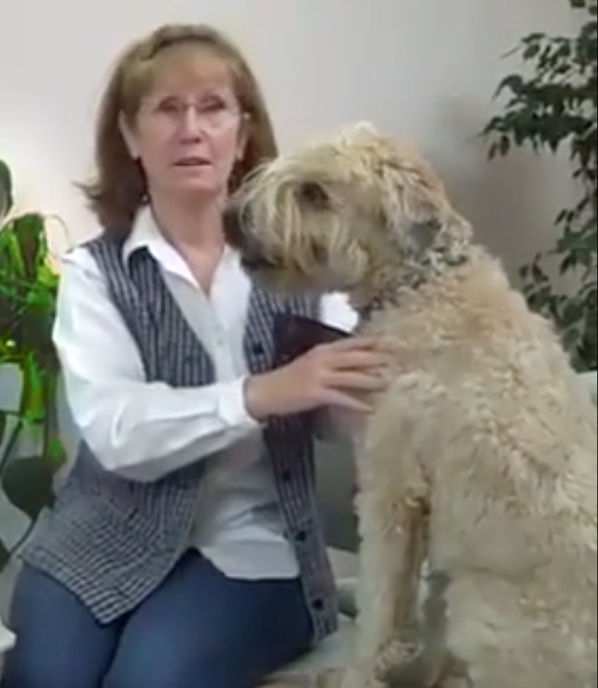 Mrs S., Vétérinaire Versoix, Veterinaire Versoix, Versoix Veterinaire, Versoix Vétérinaire, cabinet vétérinaire versoix, cabinet veterinaire versoix, clinique vétérinaire versoix, vétérinaire de Garde Versoix,veterinaire de Garde Versoix, Cabinet Vétérinaire International