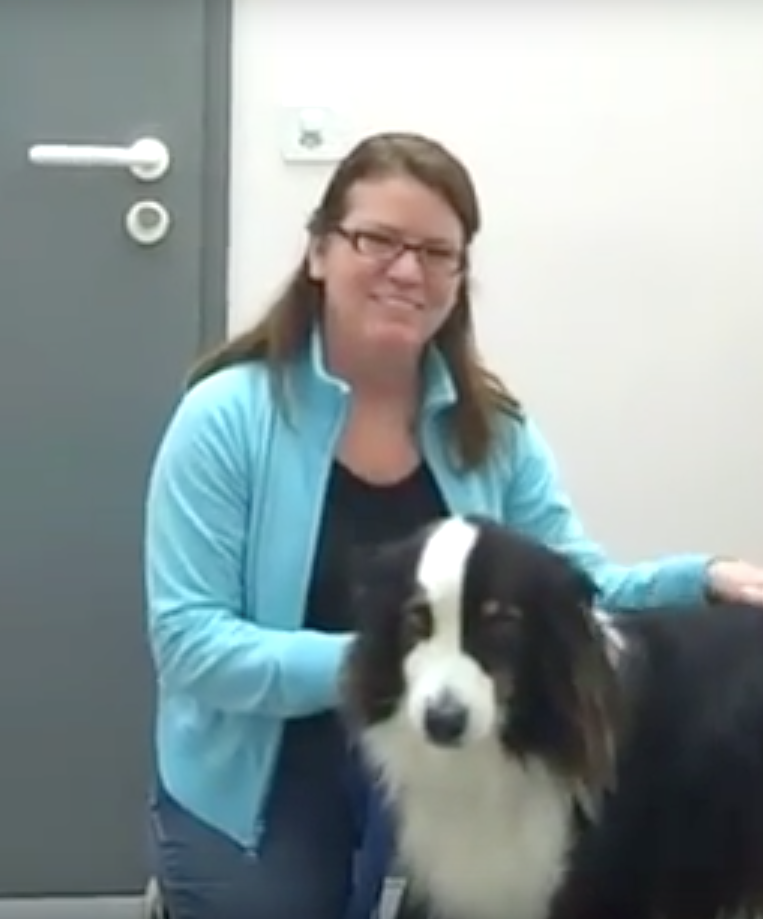 SOS Vétérinaire Genève, Urgences Vétérinaire Genève,Vétérinaire Genève, Vétérinaire de Garde Genève, Veterinaire de Garde Geneve, vétérinaire Versoix, vétérinaire Commugny, Vétérinaire urgence Nyon, vétérinaire crans près Céligny, vétérinaire Mies, Vétérinaire de Garde Genève , Veterinaire de Garde Geneve, Vétérinaire de Garde Nyon, Vétérinaire de Garde Vaud, Vétérinaire de Garde Gland, Vétérinaire de Garde Morges, Vétérinaire de Garde Lausanne ,apathie ou faiblesse chiens et chats