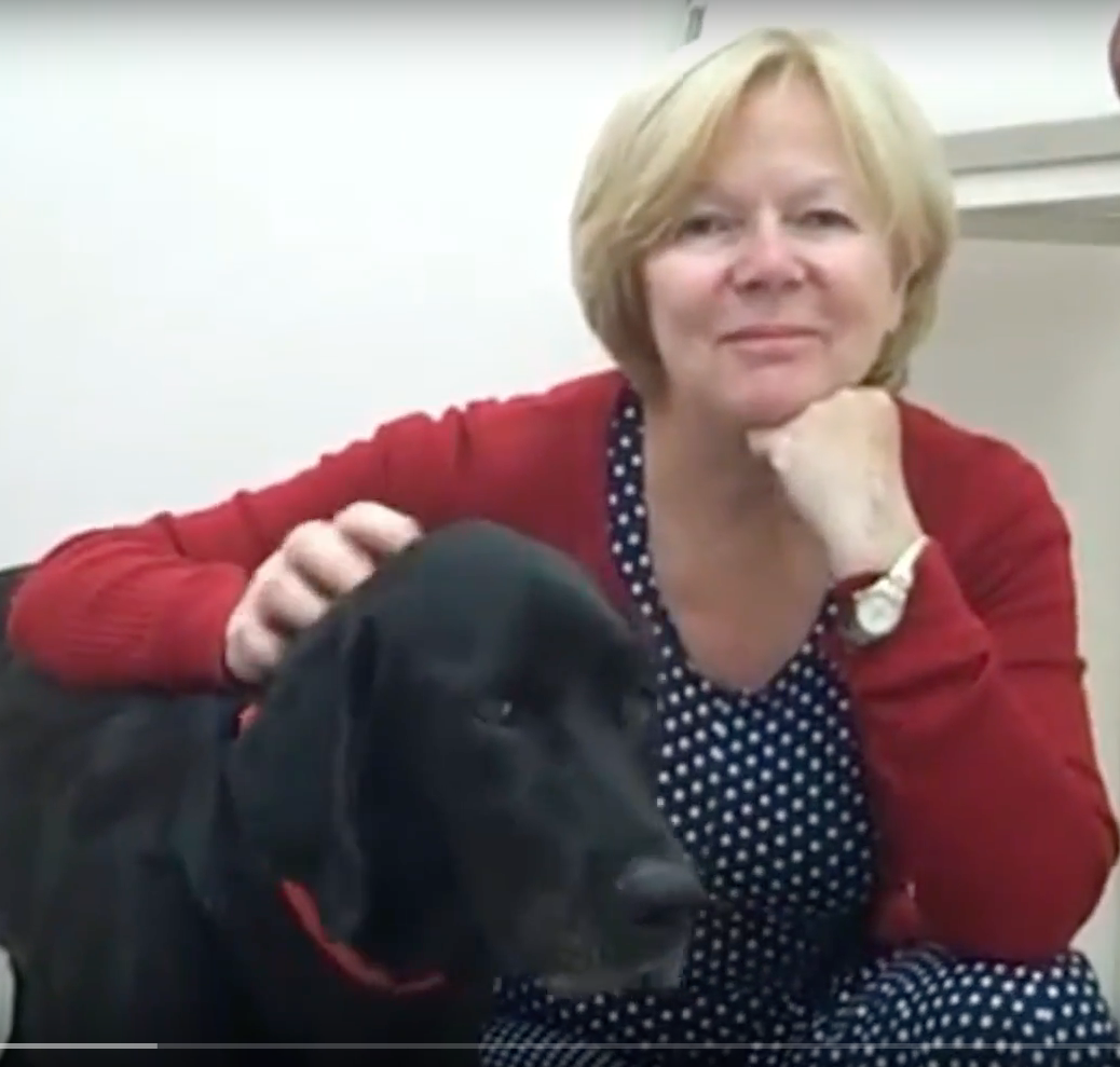 SOS Vétérinaire Genève, Urgences Vétérinaire Genève,Vétérinaire Genève, Vétérinaire de Garde Genève, Veterinaire de Garde Geneve, vétérinaire Versoix, vétérinaire Commugny, Vétérinaire urgence Nyon, vétérinaire crans près Céligny, vétérinaire Mies, Vétérinaire de Garde Genève , Veterinaire de Garde Geneve, Vétérinaire de Garde Nyon, Vétérinaire de Garde Vaud, Vétérinaire de Garde Gland, Vétérinaire de Garde Morges, Vétérinaire de Garde Lausanne ,apathie ou faiblesse chiens et chats