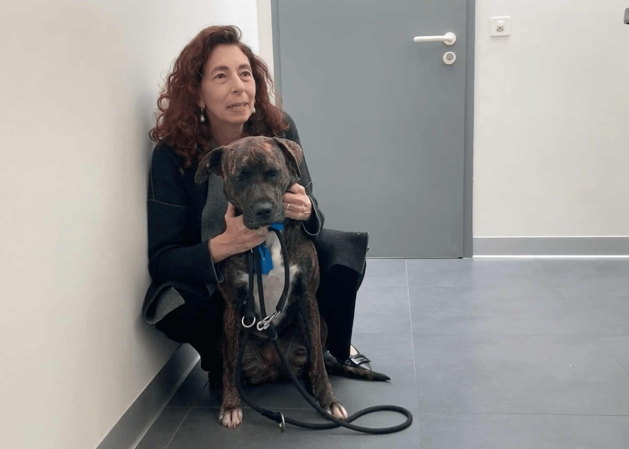 SOS Vétérinaire Genève, Urgences Vétérinaire Genève,Vétérinaire Genève, Vétérinaire de Garde Genève, Veterinaire de Garde Geneve, vétérinaire Versoix, vétérinaire Commugny, Vétérinaire urgence Nyon, vétérinaire crans près Céligny, vétérinaire Mies, Vétérinaire de Garde Genève , Veterinaire de Garde Geneve, Vétérinaire de Garde Nyon, Vétérinaire de Garde Vaud, Vétérinaire de Garde Gland, Vétérinaire de Garde Morges, Vétérinaire de Garde Lausanne ,apathie ou faiblesse chiens et chats