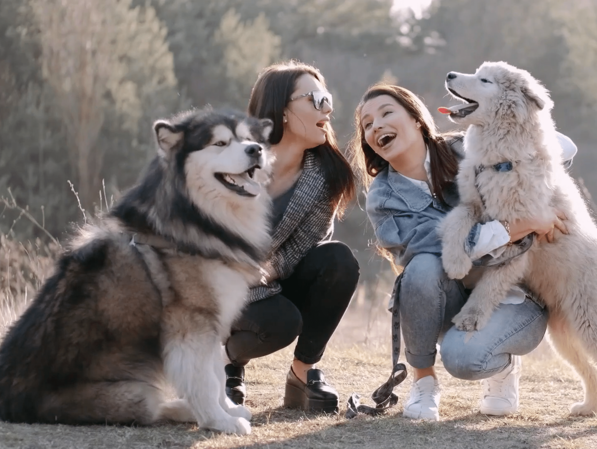clients with dogs, Vétérinaire Versoix, Veterinaire Versoix, Versoix Veterinaire, Versoix Vétérinaire, cabinet vétérinaire versoix, cabinet veterinaire versoix, clinique vétérinaire versoix, vétérinaire de Garde Versoix,veterinaire de Garde Versoix, Cabinet Vétérinaire International