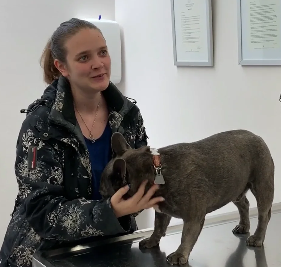 SOS Vétérinaire Genève, Urgences Vétérinaire Genève,Vétérinaire Genève, Vétérinaire de Garde Genève, Veterinaire de Garde Geneve, vétérinaire Versoix, vétérinaire Commugny, Vétérinaire urgence Nyon, vétérinaire crans près Céligny, vétérinaire Mies, Vétérinaire de Garde Genève , Veterinaire de Garde Geneve, Vétérinaire de Garde Nyon, Vétérinaire de Garde Vaud, Vétérinaire de Garde Gland, Vétérinaire de Garde Morges, Vétérinaire de Garde Lausanne ,apathie ou faiblesse chiens et chats