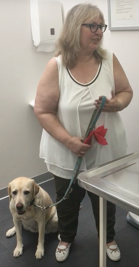  vétérinaire Mies, vétérinaire Genève, vétérinaire Nyon, vétérinaire Versoix, vétérinaire Commugny