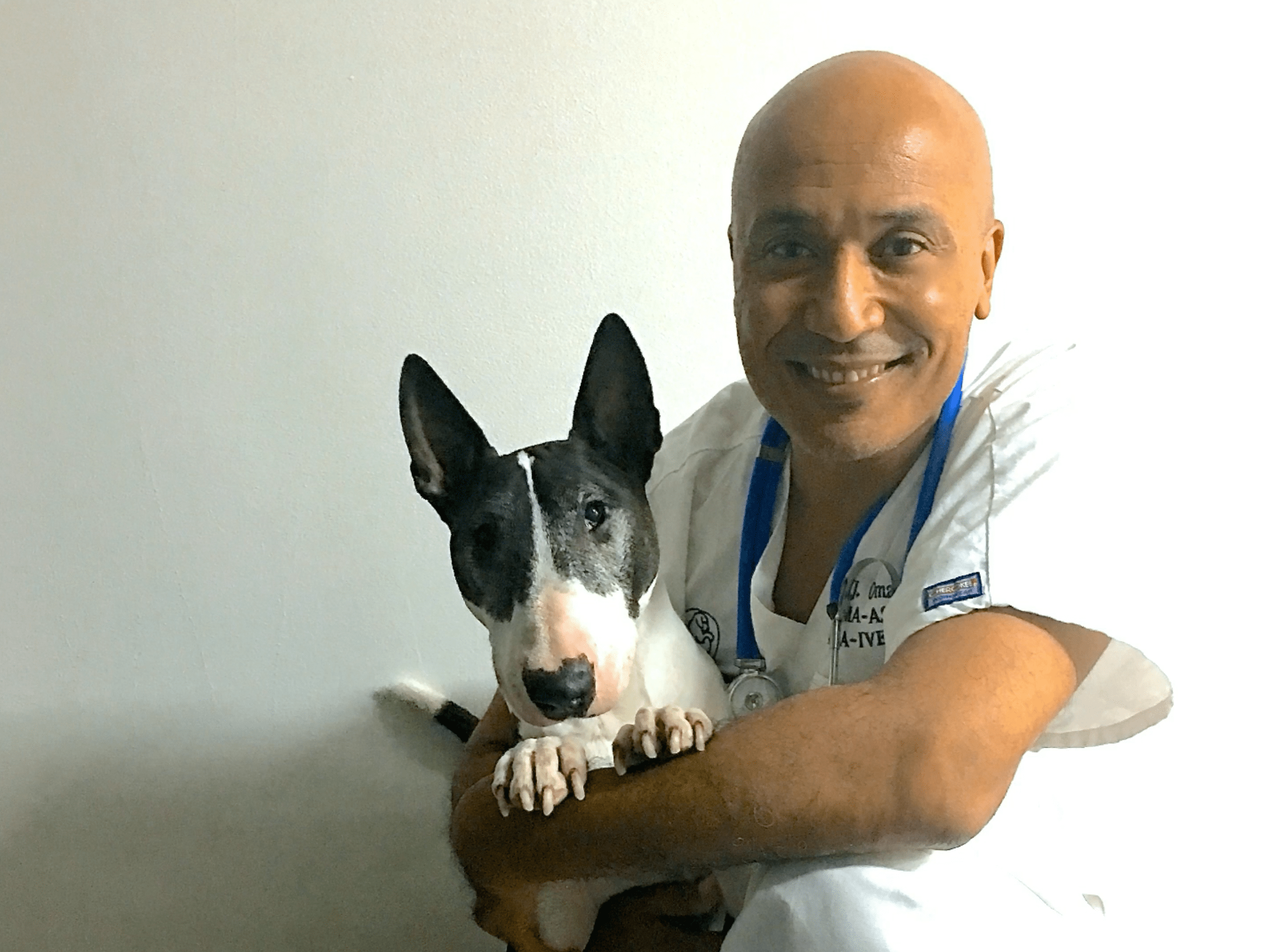  vétérinaire Mies, vétérinaire Genève, vétérinaire Nyon, vétérinaire Versoix, vétérinaire Commugny