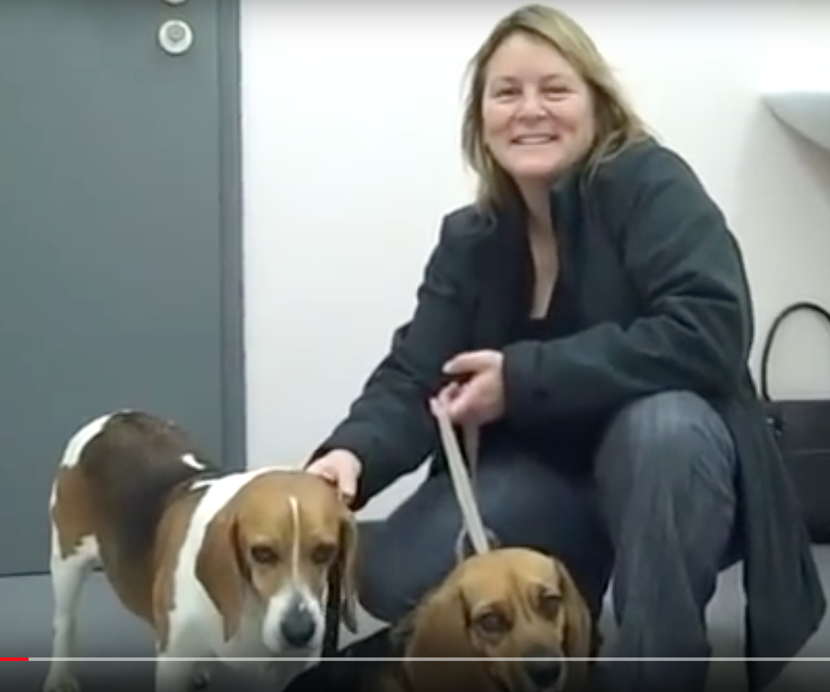 SOS Vétérinaire Genève, Urgences Vétérinaire Genève,Vétérinaire Genève, Vétérinaire de Garde Genève, Veterinaire de Garde Geneve, vétérinaire Versoix, vétérinaire Commugny, Vétérinaire urgence Nyon, vétérinaire crans près Céligny, vétérinaire Mies, Vétérinaire de Garde Genève , Veterinaire de Garde Geneve, Vétérinaire de Garde Nyon, Vétérinaire de Garde Vaud, Vétérinaire de Garde Gland, Vétérinaire de Garde Morges, Vétérinaire de Garde Lausanne ,apathie ou faiblesse chiens et chats